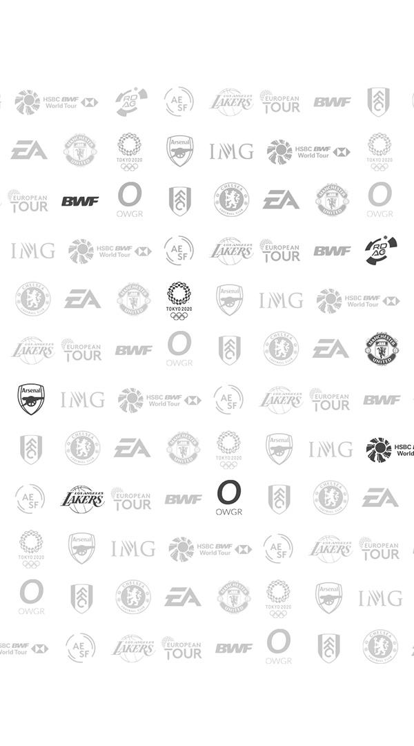 page of logos showing experience